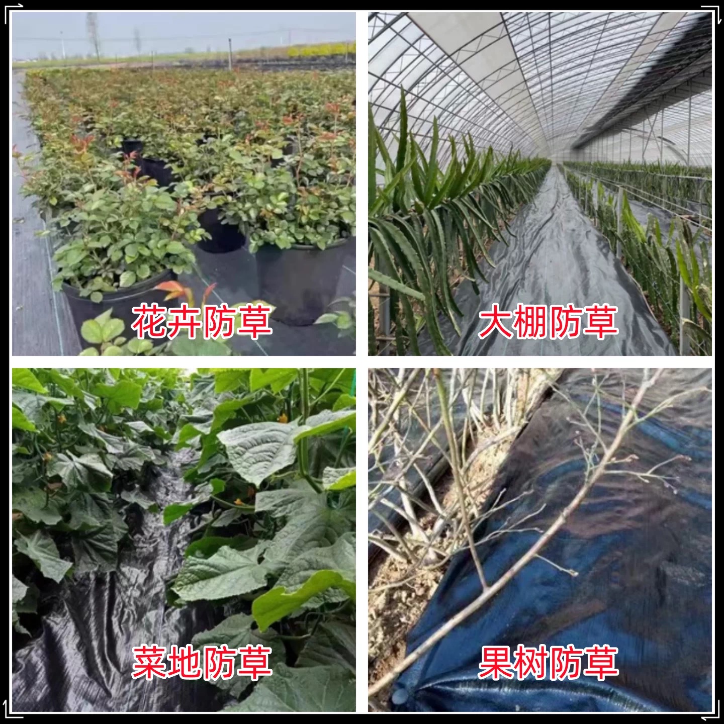 肇庆市货车苫盖膜防草布 - 哪里好