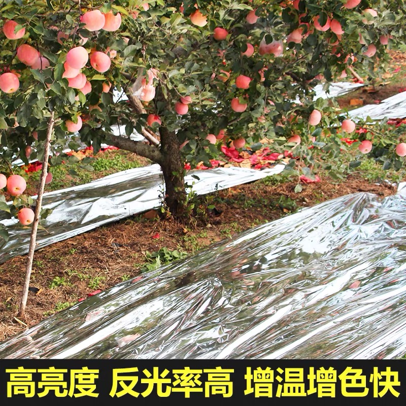肇庆市大棚膜果树反光膜 - 推荐